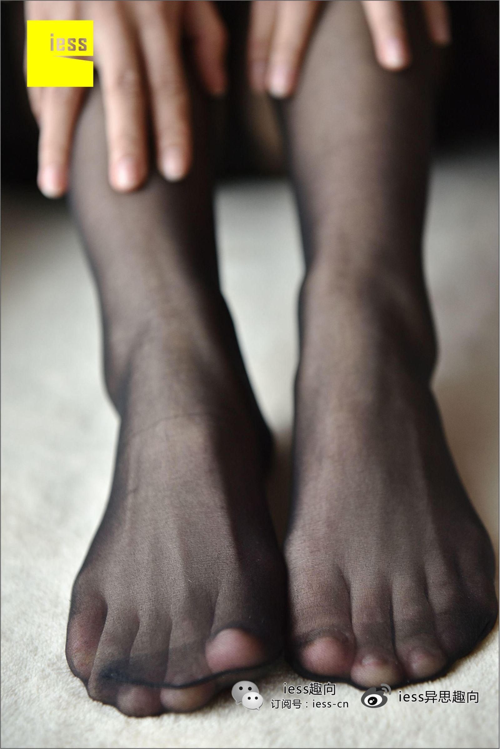 [IESS]异思趣向 琪琪 ES6C 黑色